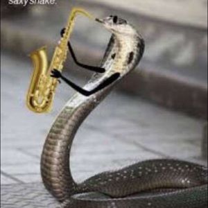 Meet your Posher, Carlo